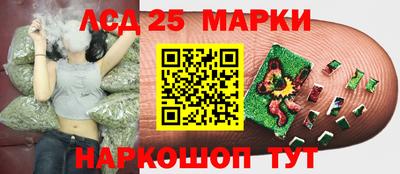сатива Кулебаки